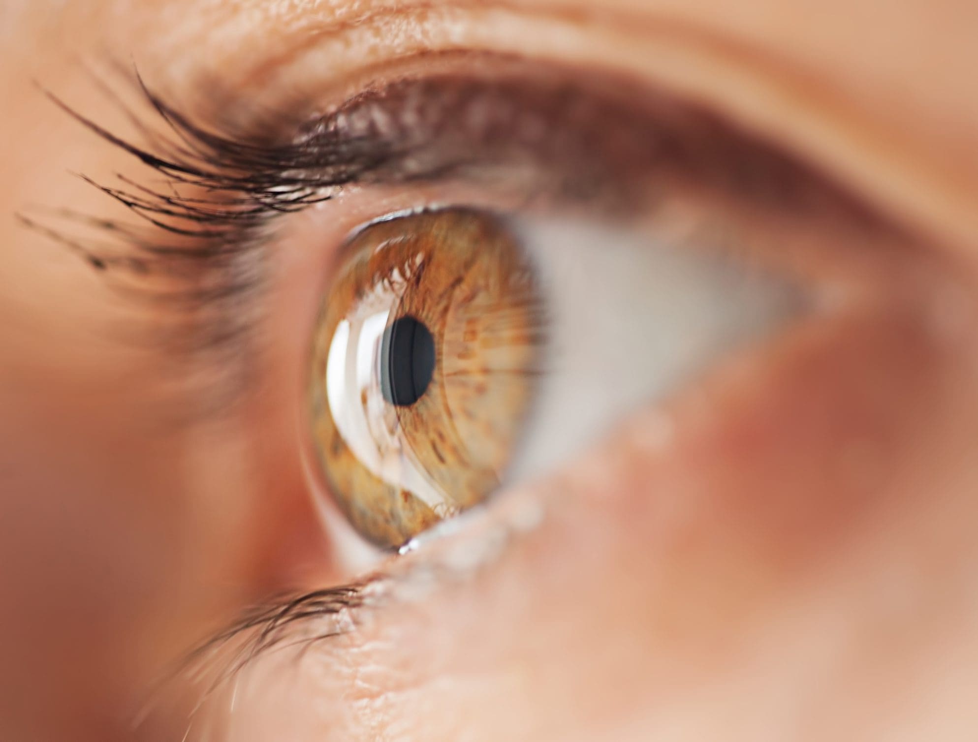 Brown Eyes vs. Hazel Eyes: What Makes Them So Special?