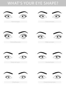 Understanding Different Eye Shapes: Which Do You Have? | NVISION Eye ...