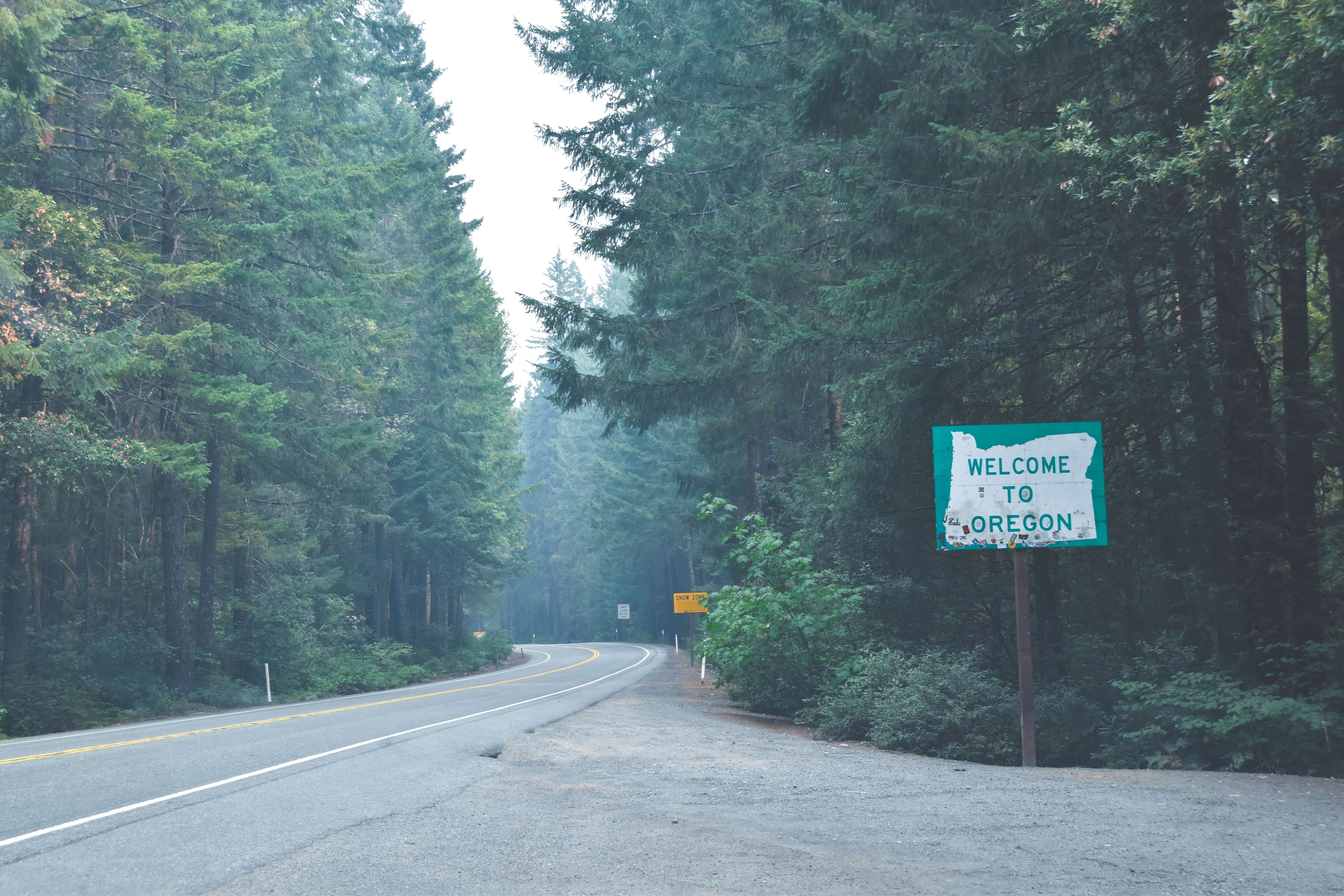 oregon driving study book